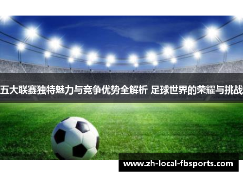 五大联赛独特魅力与竞争优势全解析 足球世界的荣耀与挑战 五大联赛独特魅力与竞争优势全解析 足球世界的荣耀与挑战